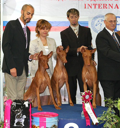 http://www.pongo.ru/images/front_rossia_breeders.jpg